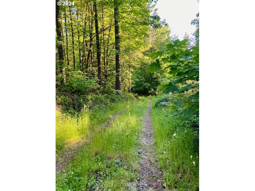 South Hult Road Beavercreek, OR 97004 - Photo 26 of 31