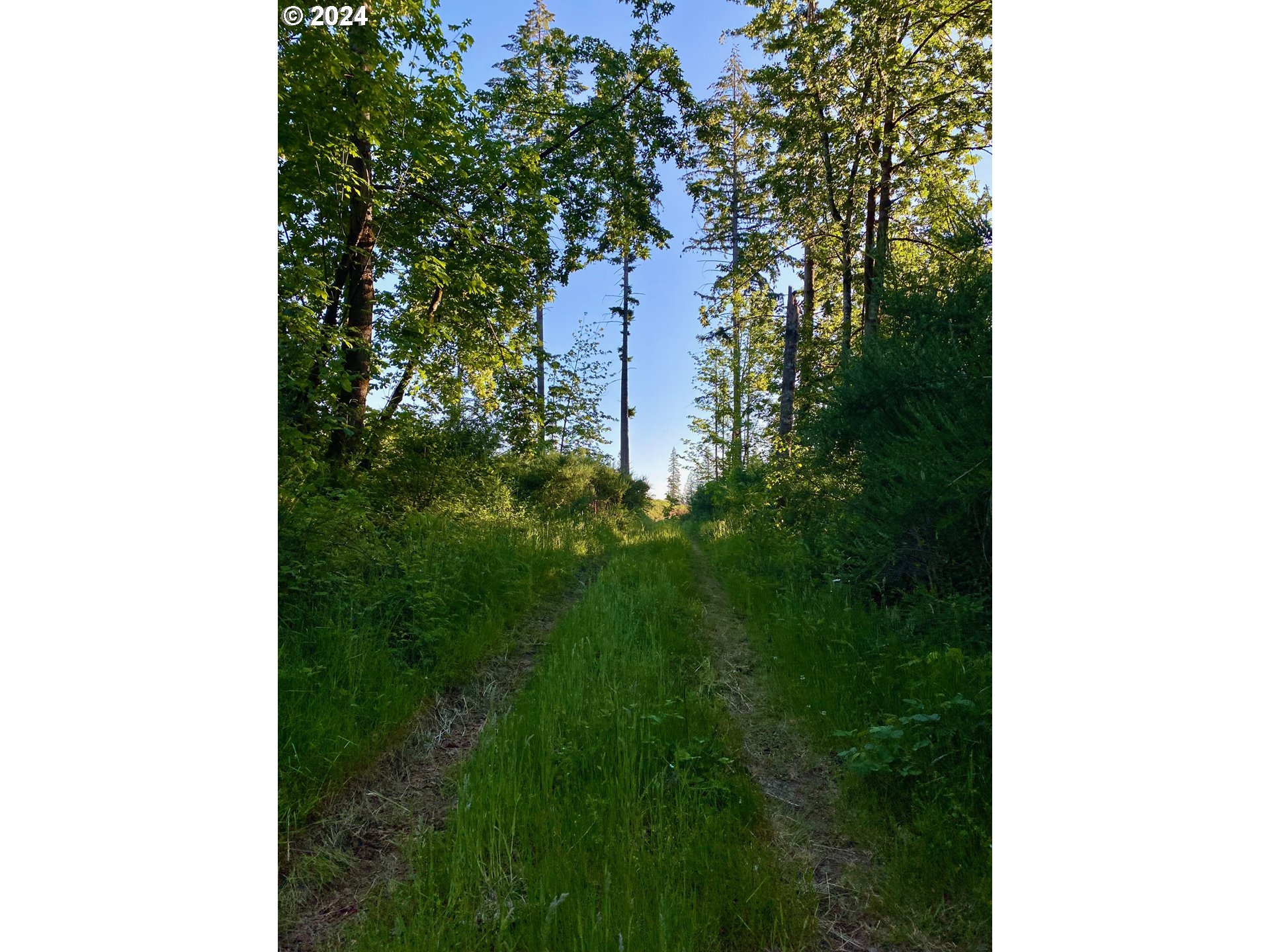 South Hult Road Beavercreek, OR 97004 - Photo 27 of 31