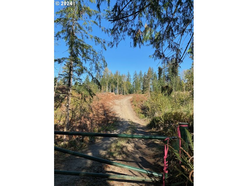 South Hult Road Beavercreek, OR 97004 - Photo 29 of 31