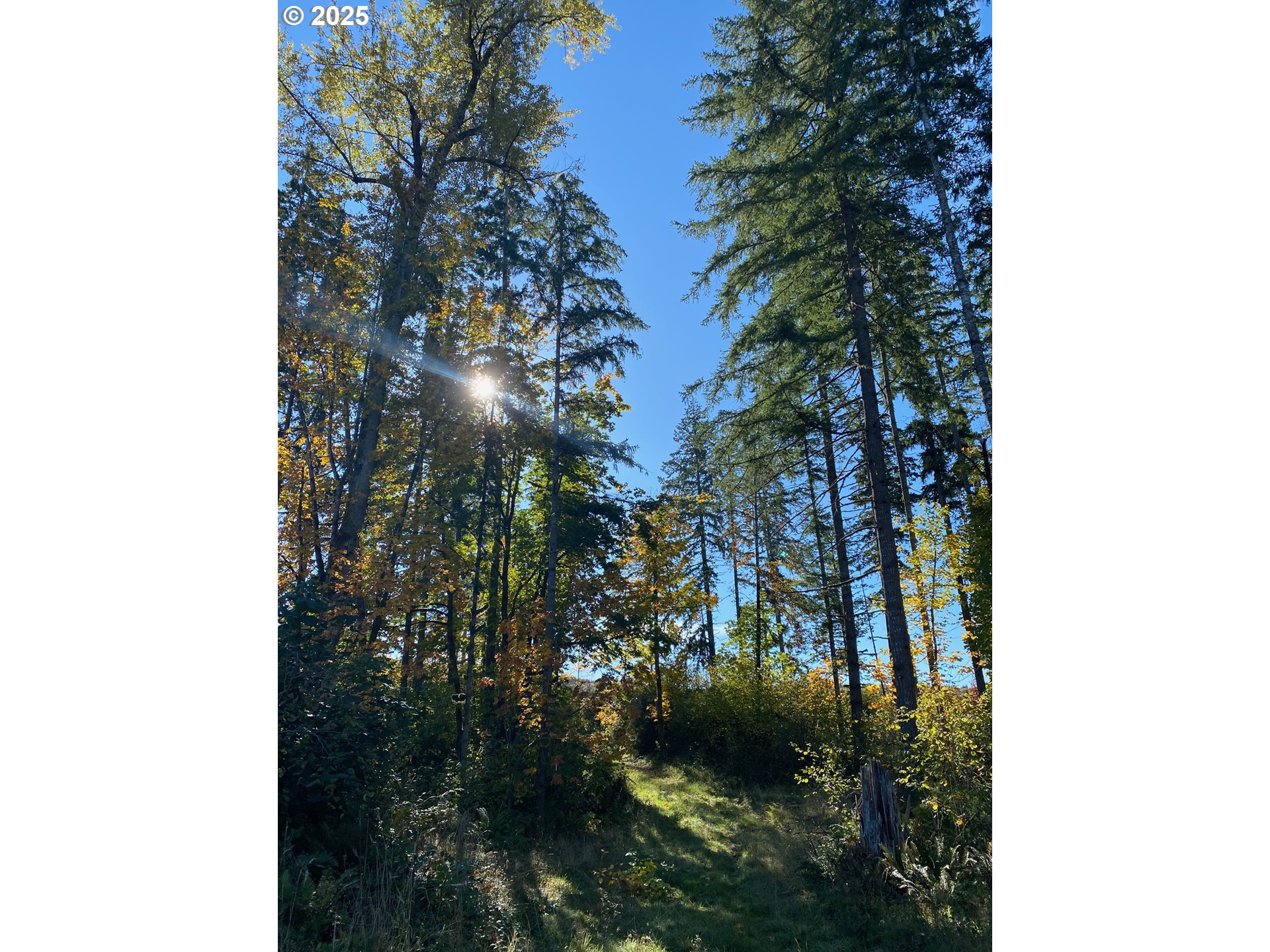 South Hult Road Beavercreek, OR 97004 - Photo 30 of 31