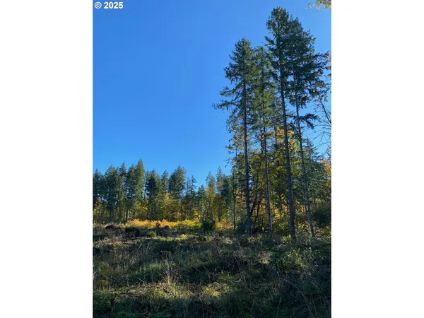 $874,999 | South Hult Road, Beavercreek, OR 97004
