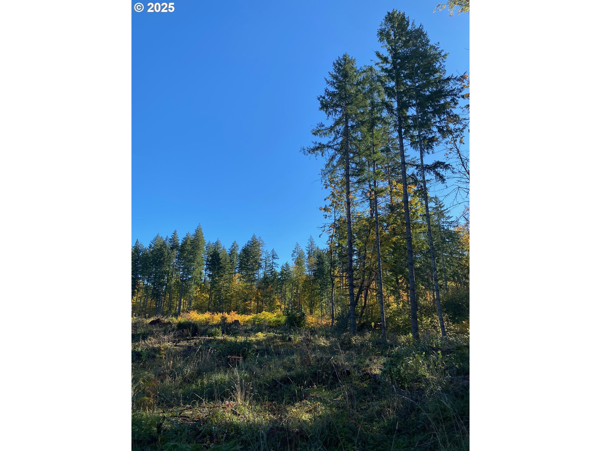 South Hult Road Beavercreek, OR 97004 - Photo 31 of 31