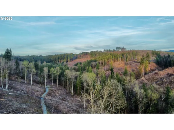 $874,999 | South Hult Road, Beavercreek, OR 97004