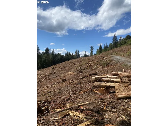 a view of a yard in front of a building