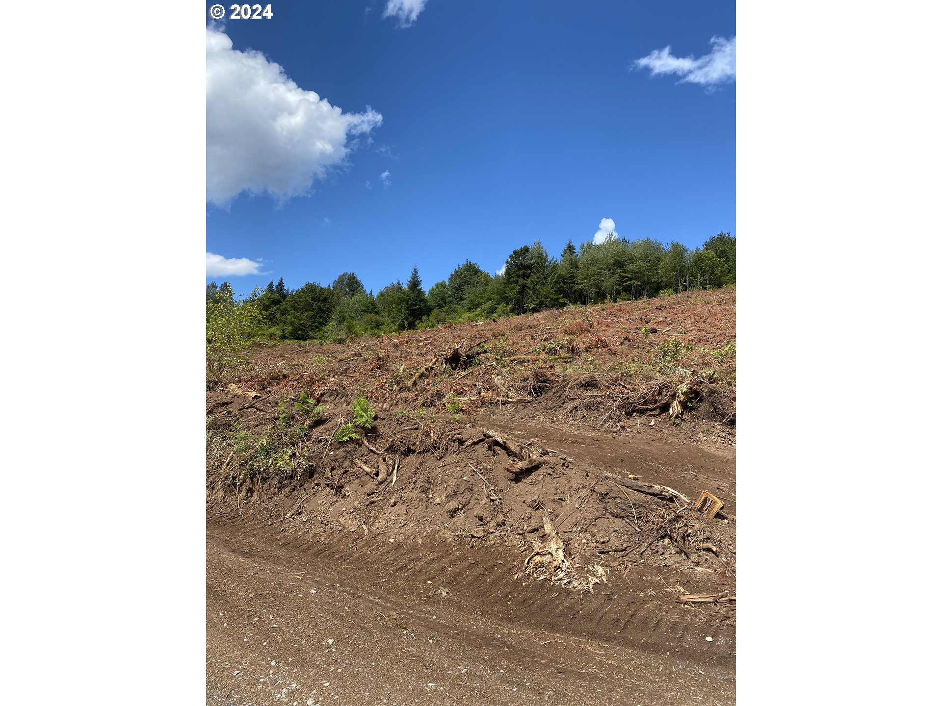 South Hult Road Beavercreek, OR 97004 - Photo 8 of 31