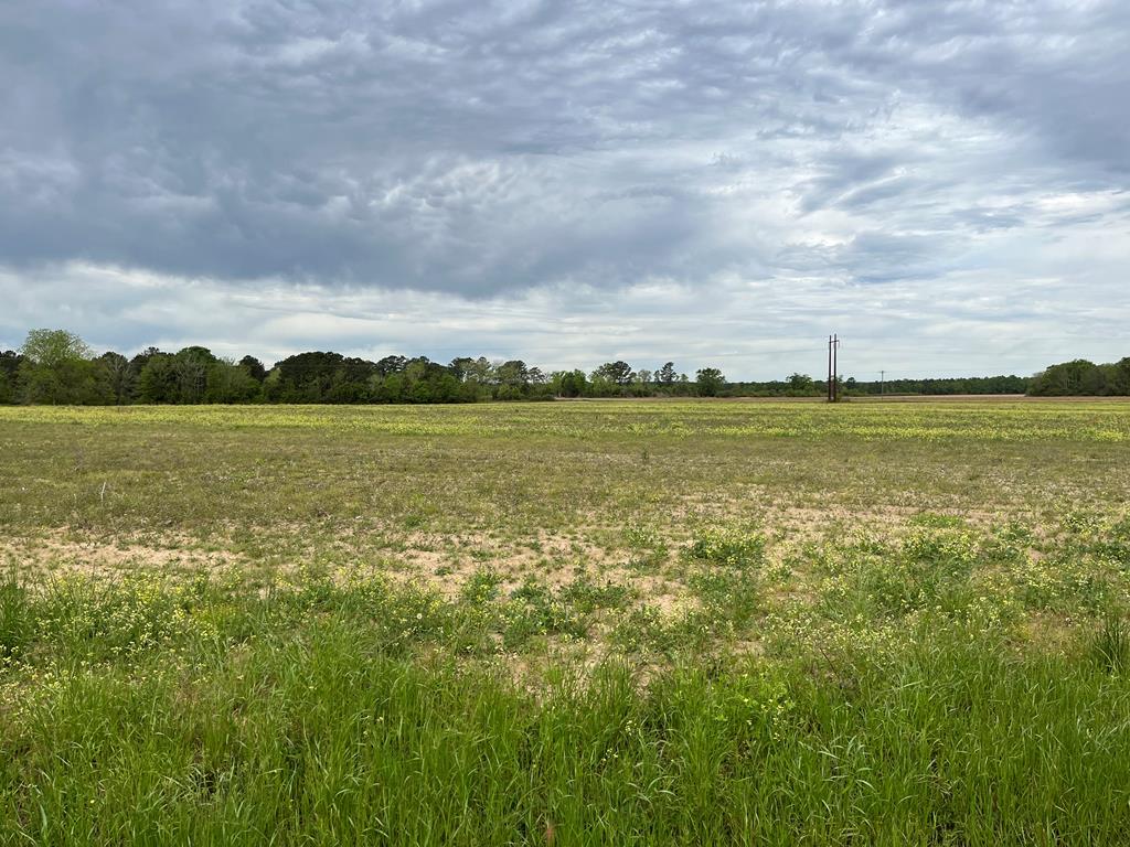 Tbd Gilley Mill Road Webb, AL 36376 - Photo 4 of 4