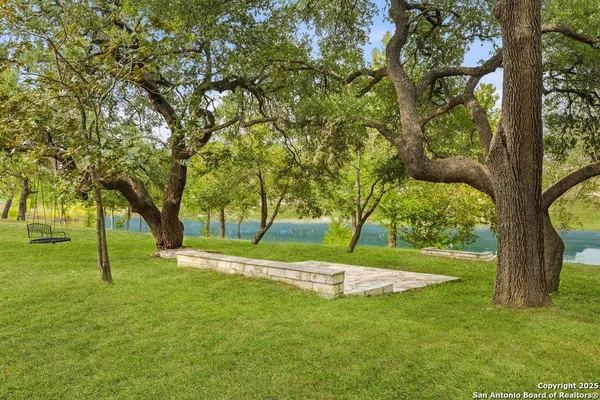 a view of a yard with a tree