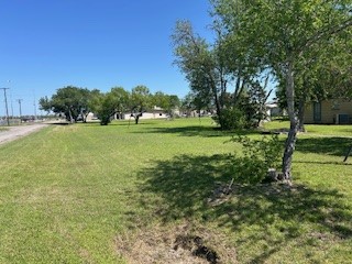 0 East Main Street Skidmore, TX 78389 - Photo 2 of 5