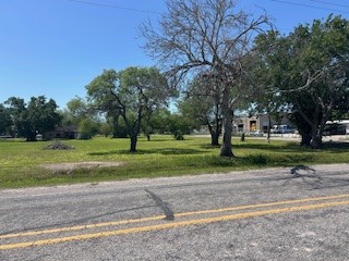 0 East Main Street Skidmore, TX 78389 - Photo 5 of 5