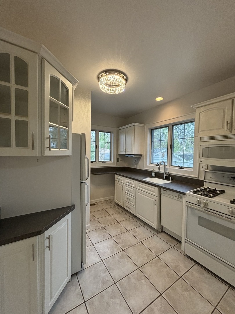 247 Oakland Grove Elmhurst, IL 60126 - Photo 8 of 22