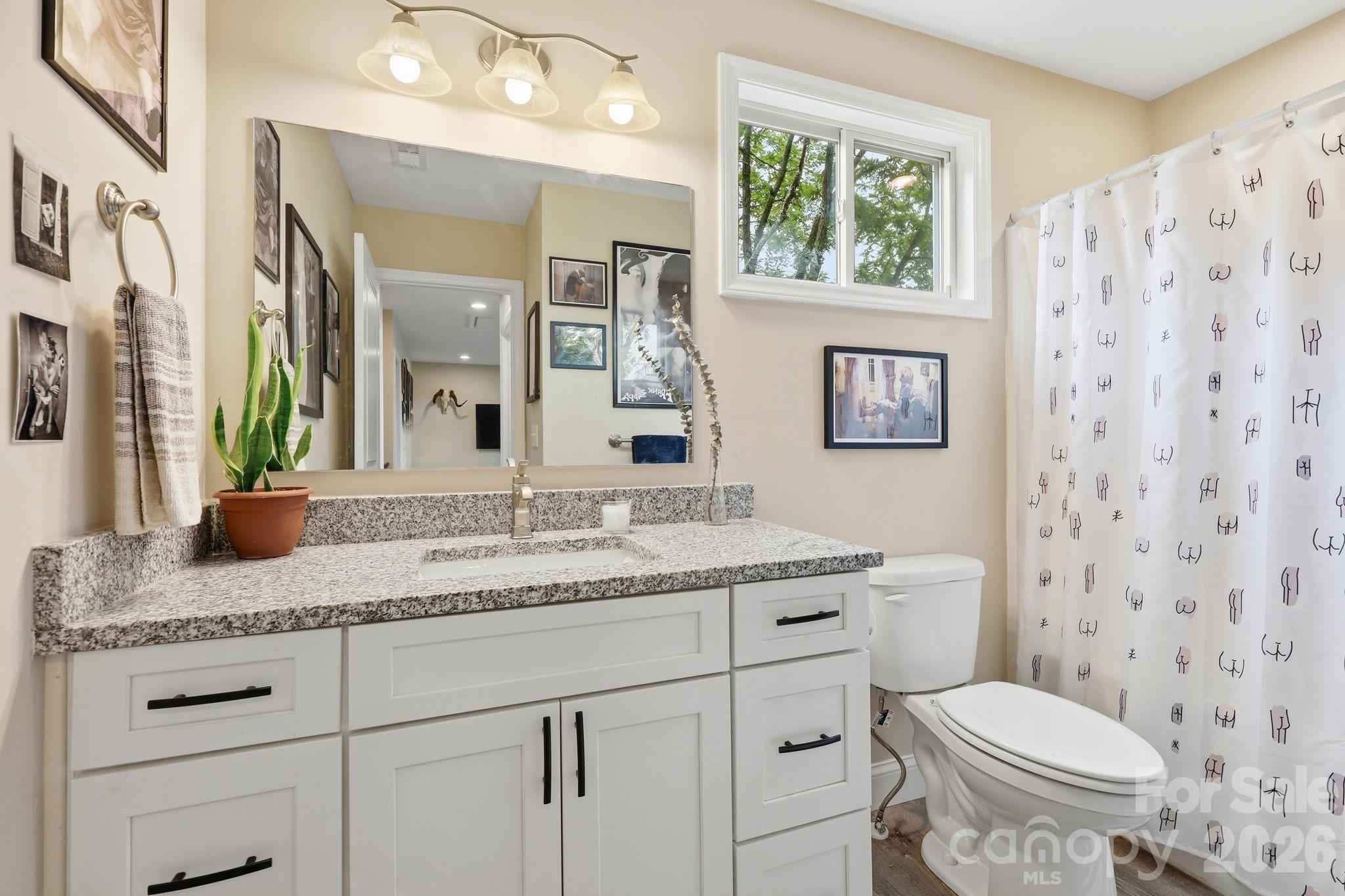 239 Northside Street Canton, NC 28716 - Photo 24 of 47