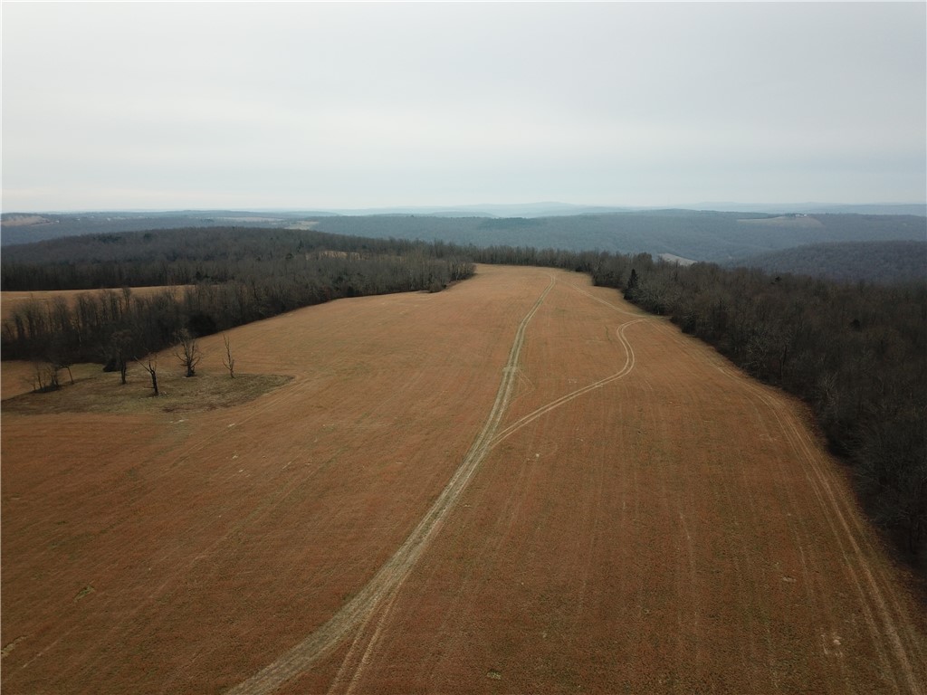 Liberty Road Leslie, AR 72645 - Photo 1 of 25 Gallery Image 1