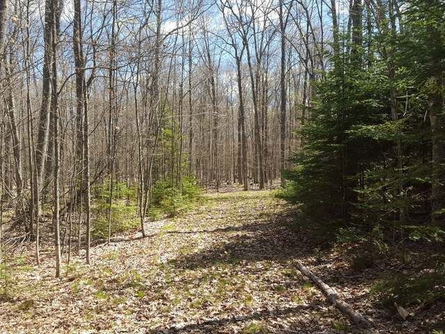 Lot 4 West Carpenter Lake Road Eagle River, WI 54521 - Photo 13 of 20 Gallery Image 13