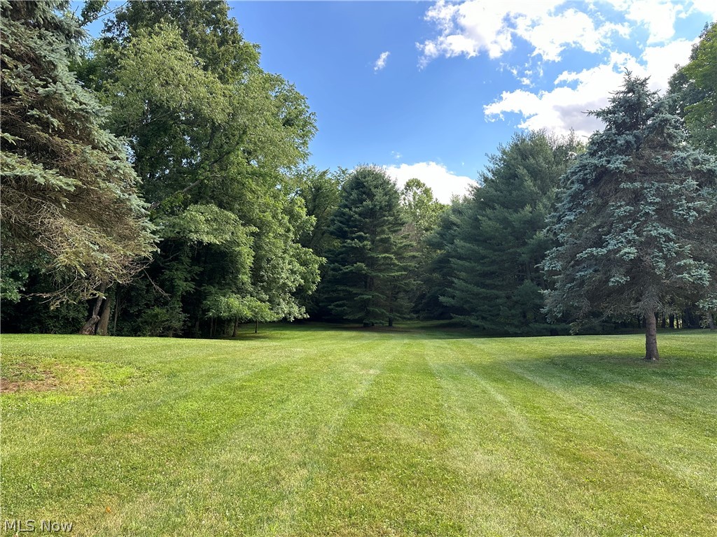 5233 Secrest Road Wooster, OH 44691 - Photo 11 of 33 View of yard