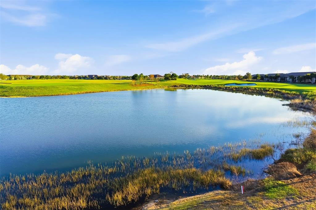 5604 Palmer Circle, Unit 206 Lakewood Ranch, FL 34211 - Photo 43 of 86