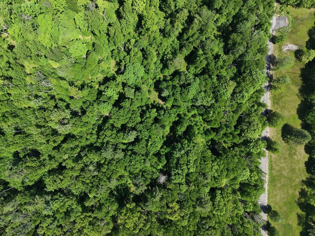 102 Hollow Road Wales, MA 01081 - Photo 3 of 8