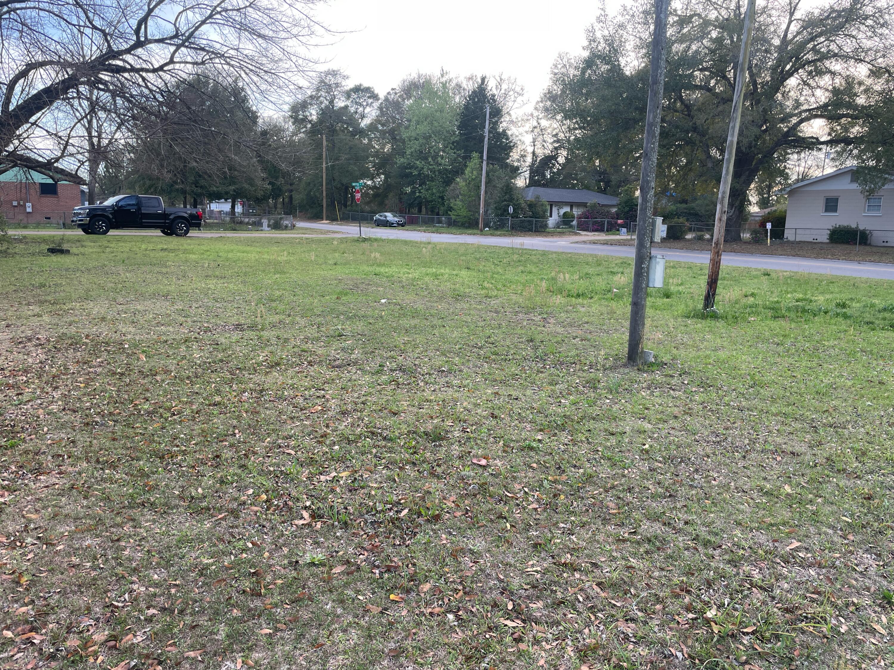 297 McClelland Street Crestview, FL 32536 - Photo 3 of 6 a view of a yard with a tree
