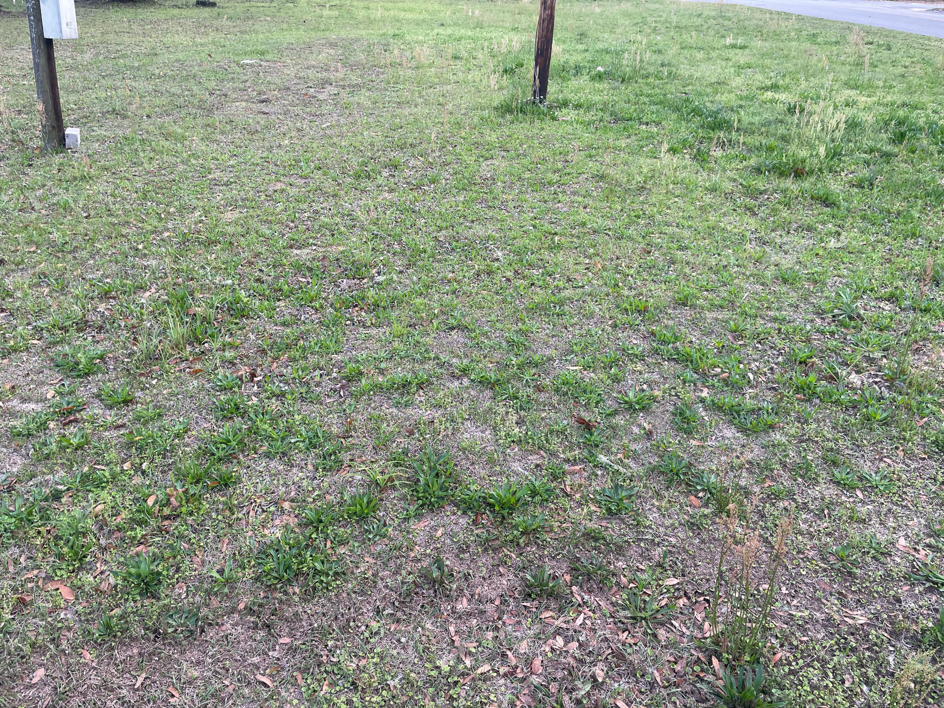 297 McClelland Street Crestview, FL 32536 - Photo 6 of 6 a view of a yard