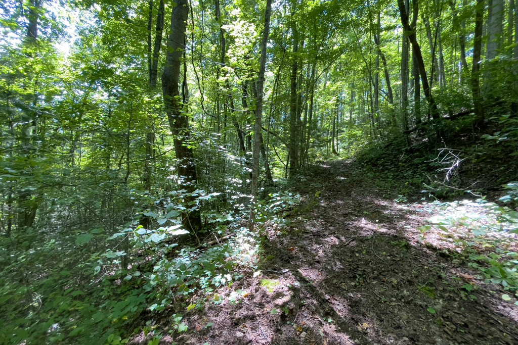 322 Locust Cove Road Robbinsville, NC 28771 - Photo 40 of 56 Gallery Image 40