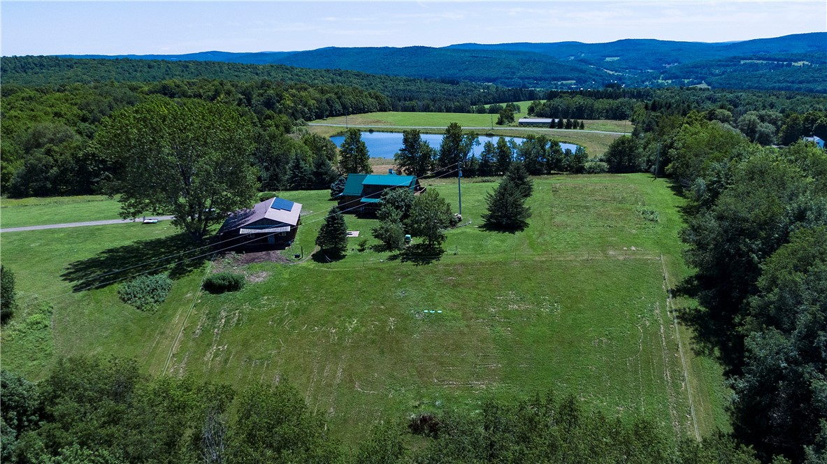 1129 Vandervort Hill Road Sidney, NY 13849 - Photo 10 of 46 Majestic Country - More Aerial Views