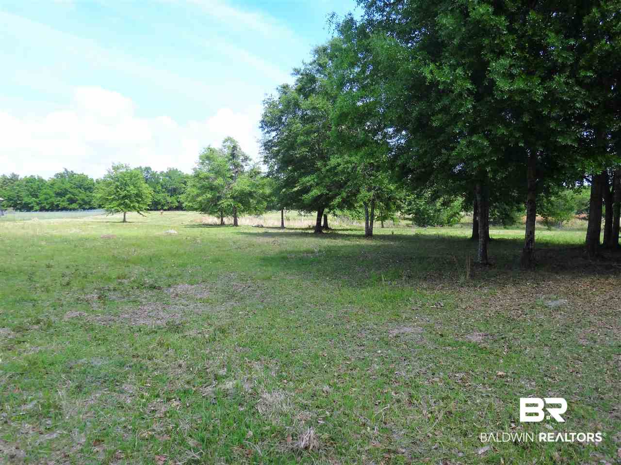19146 3 Rivers Road Seminole, AL 36574 - Photo 8 of 8