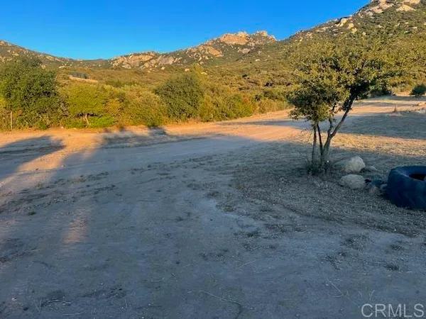 a view of a dirt road with trees in the background