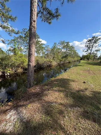 a view of a yard