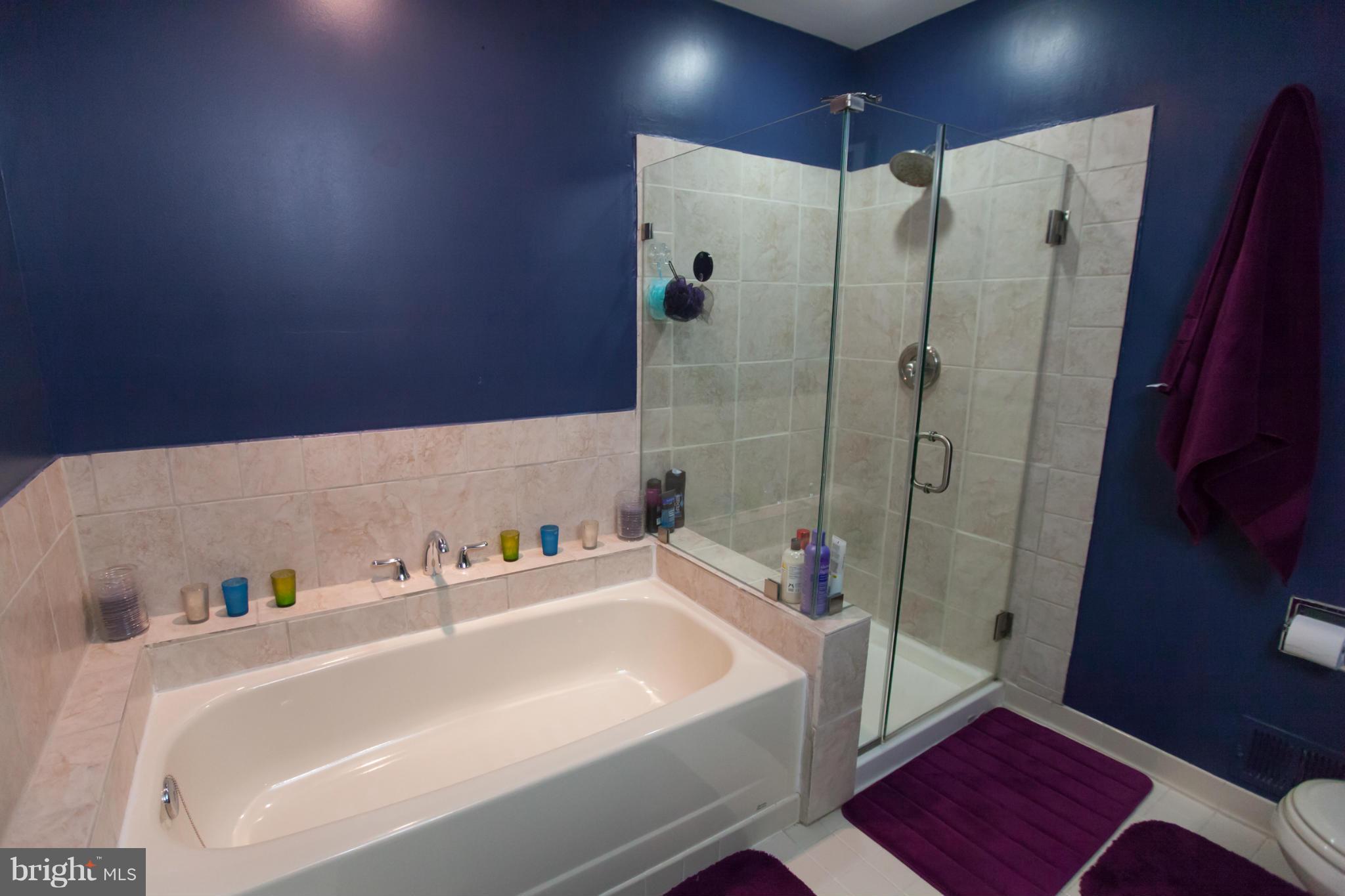 8328 Ridge Crossing Lane Springfield, VA 22152 - Photo 14 of 30 Bath (Master)
