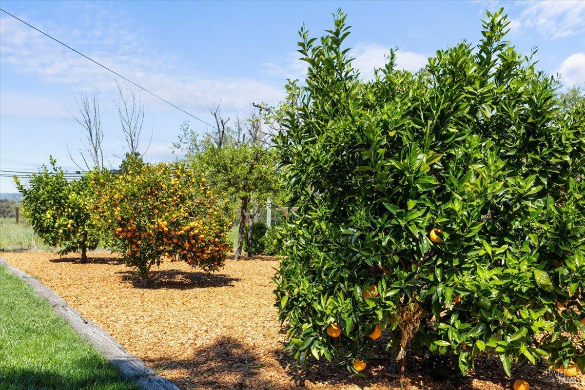 4818 Bennett Valley Road Santa Rosa, CA 95404 - Photo 28 of 29