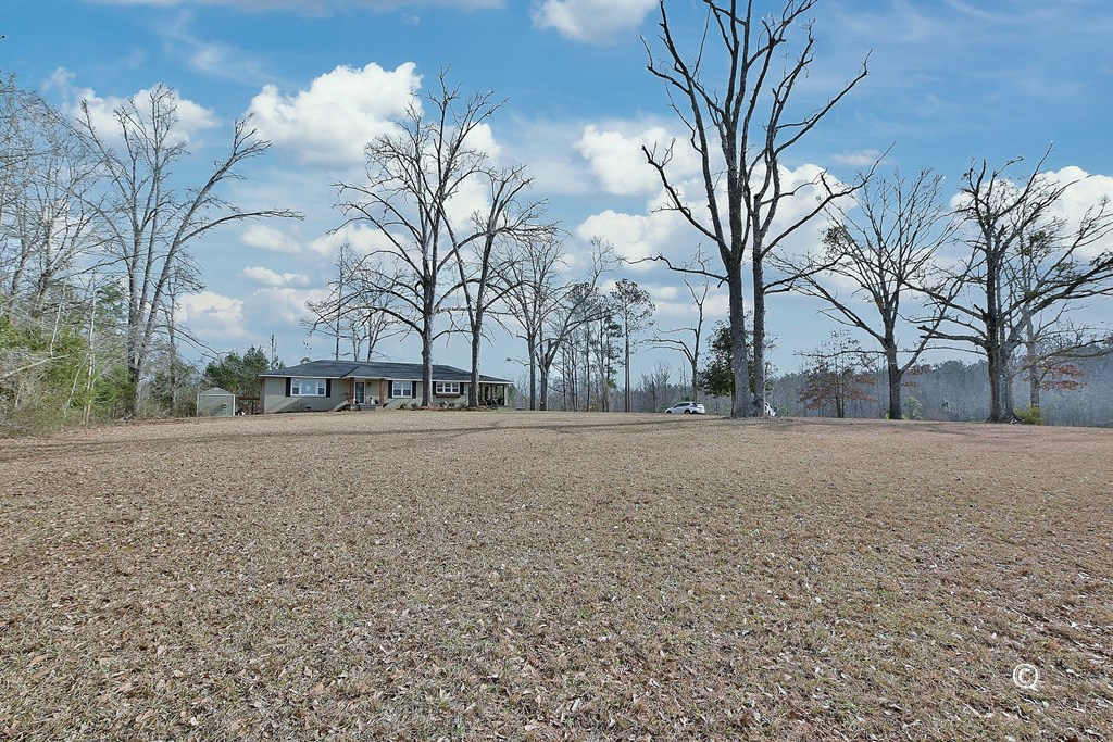 1661 Raleigh Road Manchester, GA 31816 - Photo 27 of 29 Gallery Image 27