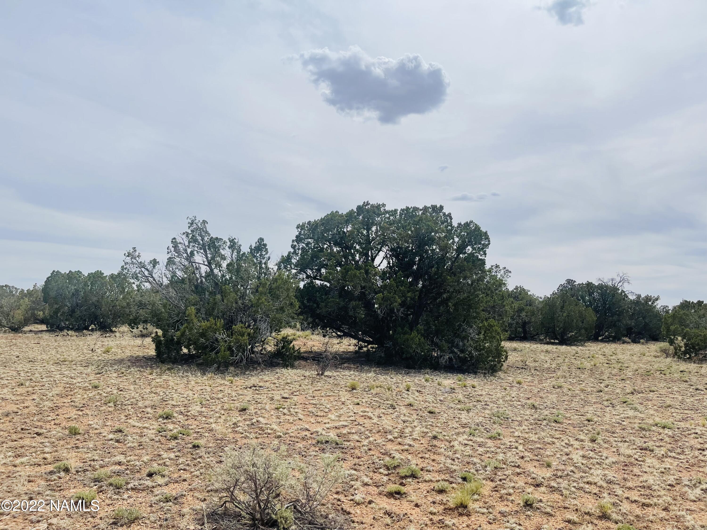 878 North Avondale Road Williams, AZ 86046 - Photo 11 of 22 878 N Avondale Rd Photo 9