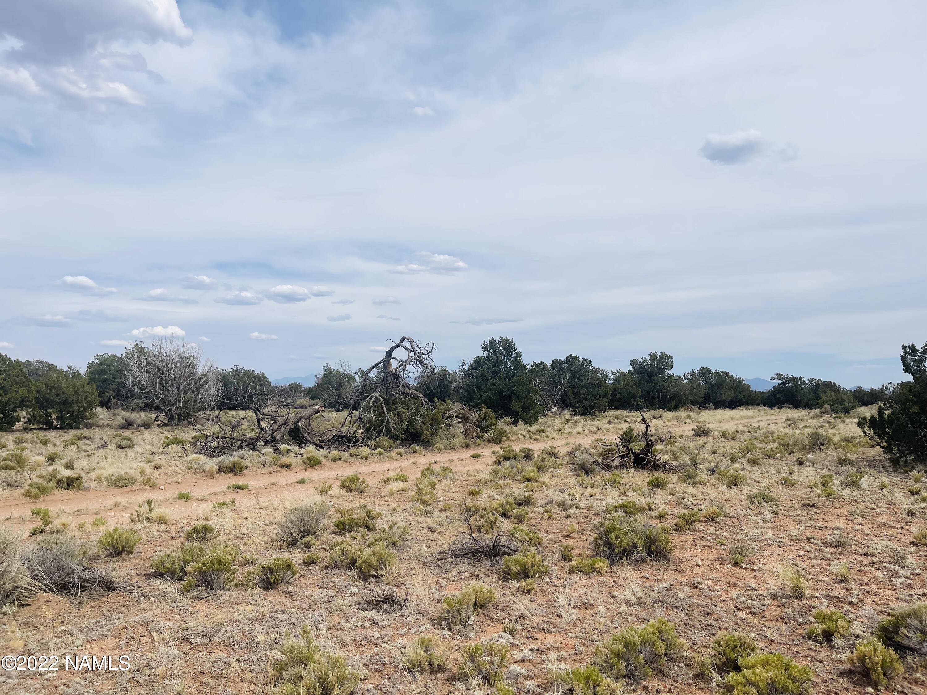 878 North Avondale Road Williams, AZ 86046 - Photo 17 of 22 878 N Avondale Rd Photo 15