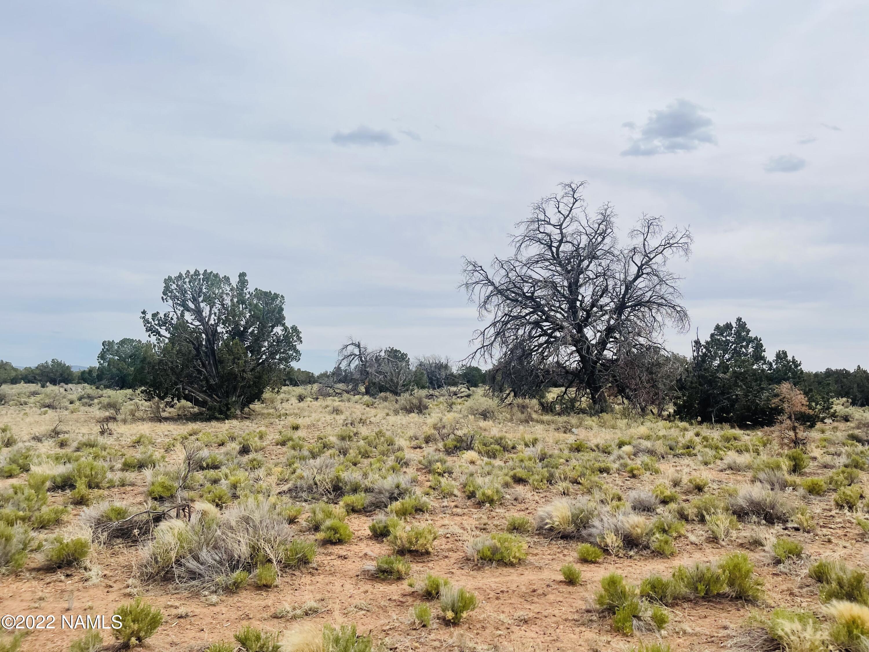 878 North Avondale Road Williams, AZ 86046 - Photo 3 of 22 878 N Avondale Rd Photo 20