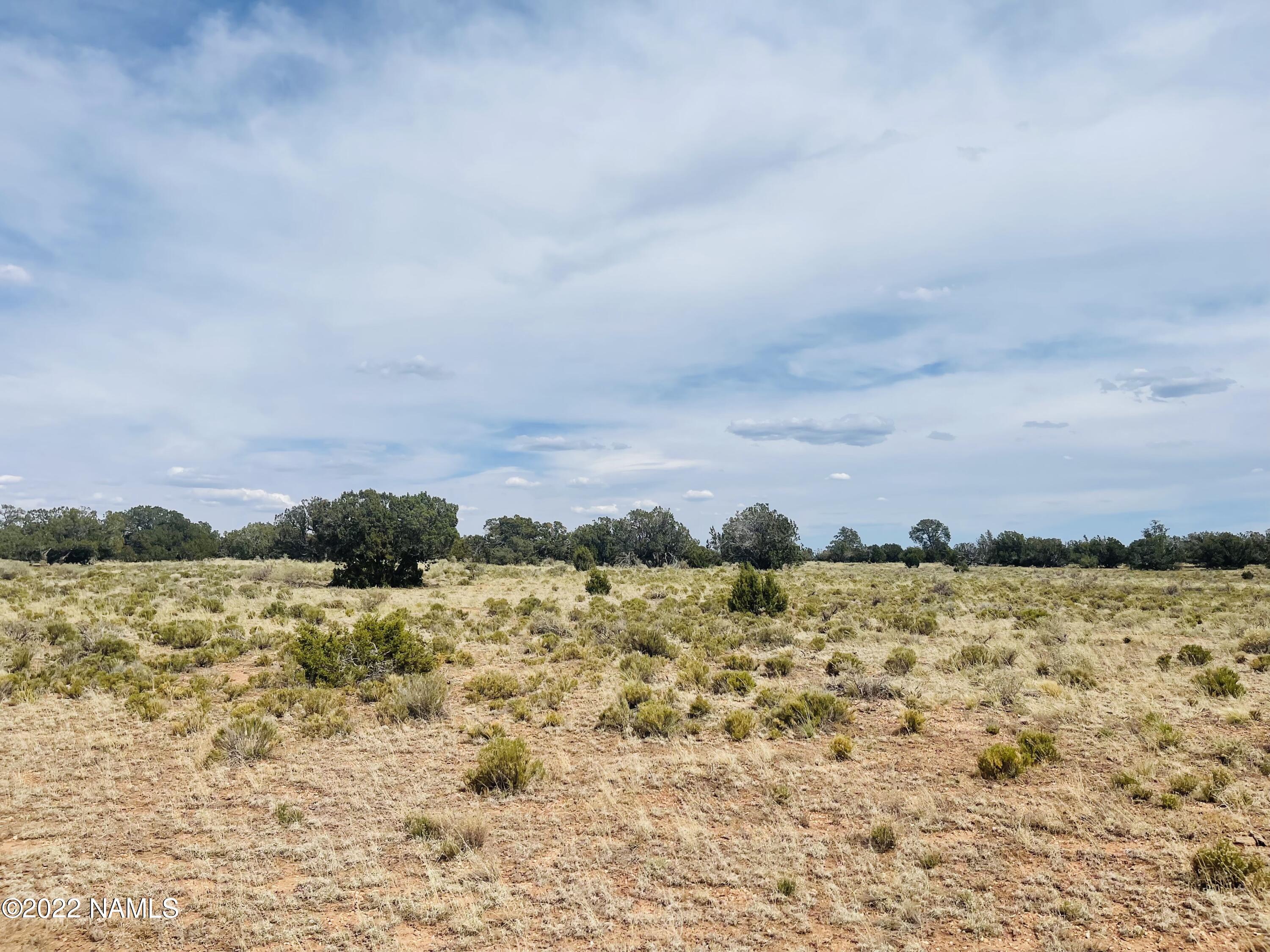 878 North Avondale Road Williams, AZ 86046 - Photo 5 of 22 878 N Avondale Rd Photo 1