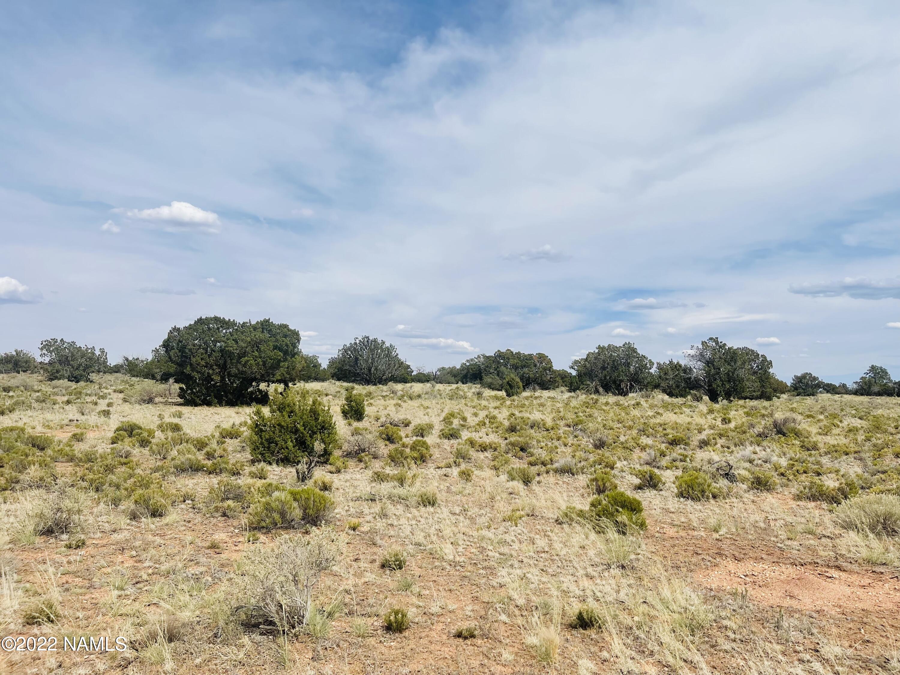 878 North Avondale Road Williams, AZ 86046 - Photo 7 of 22 878 N Avondale Rd Photo 3