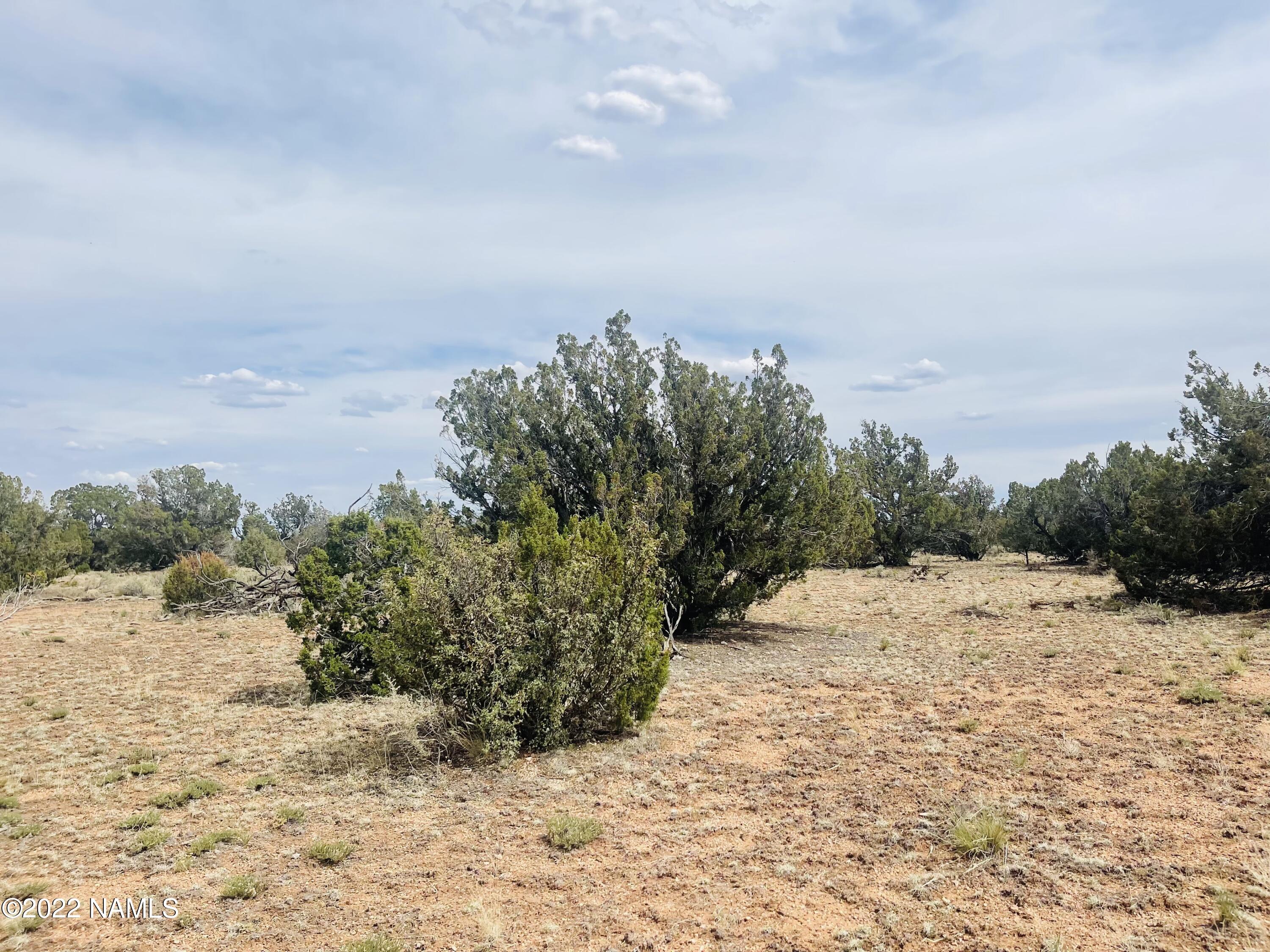 878 North Avondale Road Williams, AZ 86046 - Photo 8 of 22 878 N Avondale Rd Photo 7