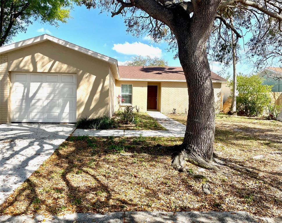 1106 Pine Ridge Circle Brandon, FL 33511 - Photo 1 of 1 a view of a house with a tree