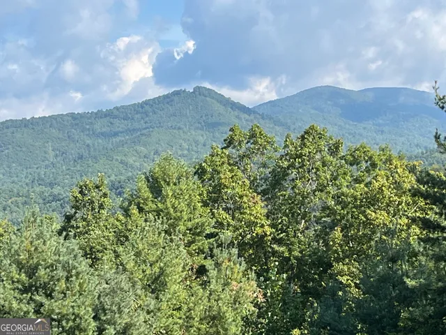 $99,000 | 0 Briarwood Lane, Clayton, GA 30525