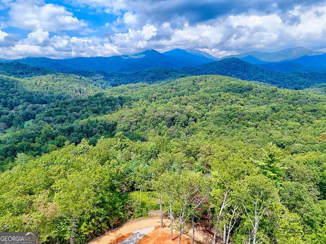 $99,000 | 0 Briarwood Lane, Clayton, GA 30525