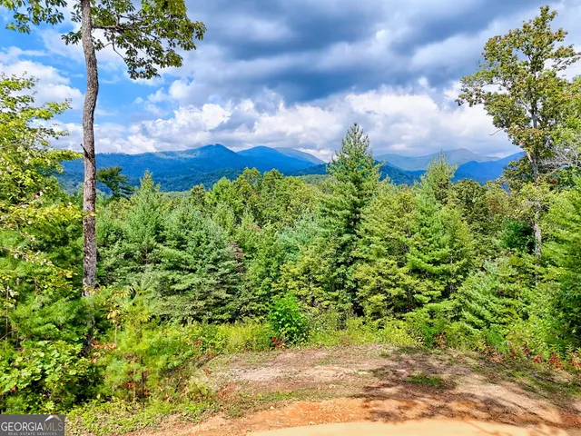 $99,000 | 0 Briarwood Lane, Clayton, GA 30525