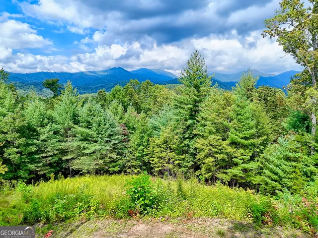 $99,000 | 0 Briarwood Lane, Clayton, GA 30525