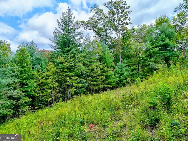 $99,000 | 0 Briarwood Lane, Clayton, GA 30525