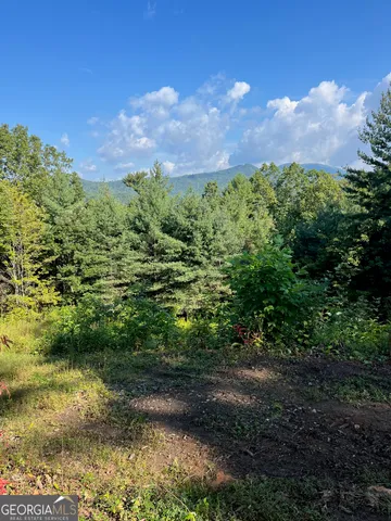 $99,000 | 0 Briarwood Lane, Clayton, GA 30525