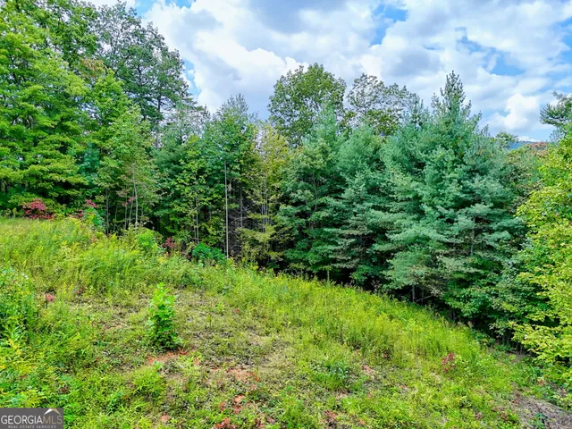 $99,000 | 0 Briarwood Lane, Clayton, GA 30525