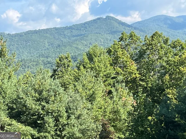 $99,000 | 0 Briarwood Lane, Clayton, GA 30525