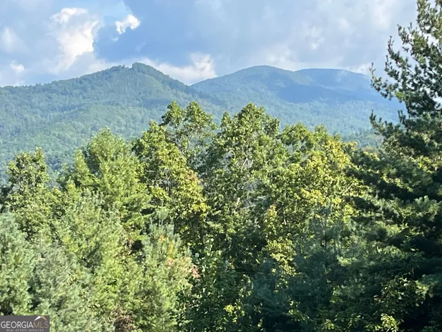 $99,000 | 0 Briarwood Lane, Clayton, GA 30525