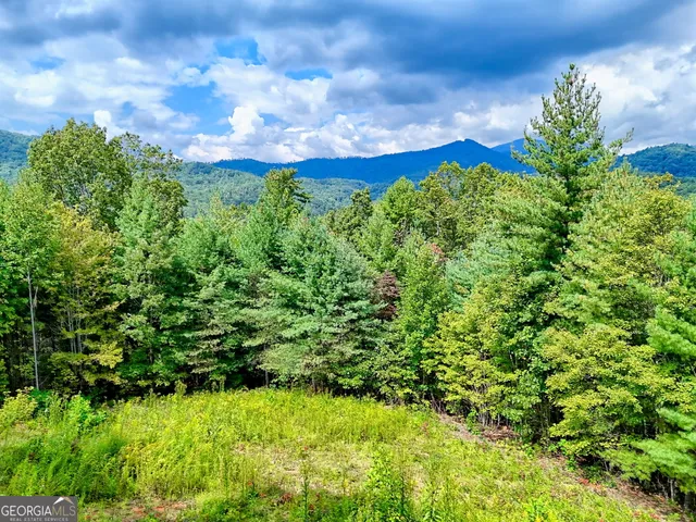 $99,000 | 0 Briarwood Lane, Clayton, GA 30525