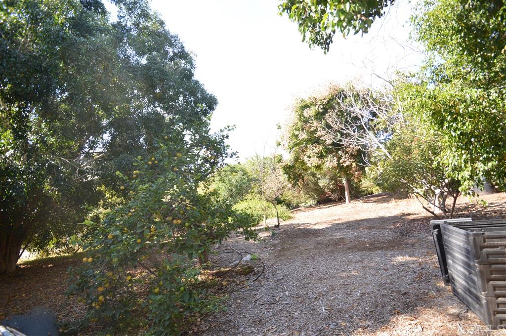 4170 North Rogers Road Spring Valley, CA 91977 - Photo 22 of 22