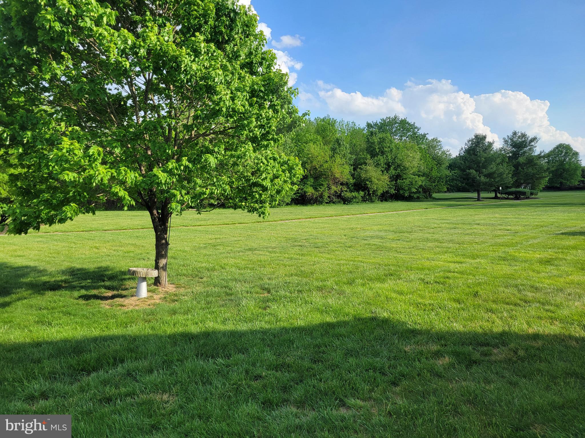 231 Gaunt Drive Mickleton, NJ 08056 - Photo 4 of 28 a backyard of a house with lots of green space