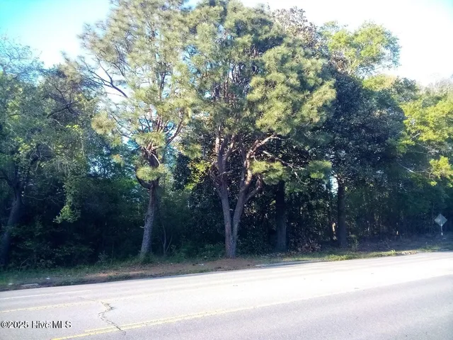 $25,000 | 74 East Hamlet Nc 28345 East, Hamlet, NC 28345